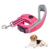 Reflective Padded Nylon Dog Leash With Handle Poop Bag Holder Reflective Padded Nylon Dog Leash With Handle Poop Bag Holder