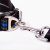 Dog Leash With Built In Waste Bag Dispenser Comfortable Durable Design