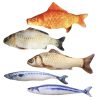 USB Charging Plush Electric Flopping Cat Toy Fish Moving With Catnip USB Charging Plush Electric Flopping Cat Toy Fish Moving With Catnip