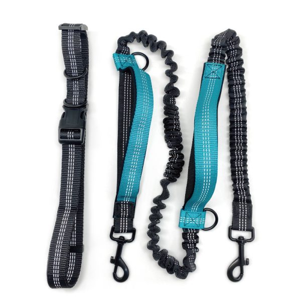 Dual Handle Elastic Bungee Hands Free Dog Running Leash With Adjustable Waist Belt