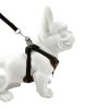 Reflective Custom Logo Dog Harness Leash Set For Small Medium Dogs