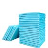 Disposable Pet Training Pads High Absorbency Pet Pee Pads For Dogs
