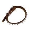 Genuine Leather Pet Collar with Studded Design Stylish Durable and Comfortable Genuine Leather Pet Collar with Studded Design Stylish Durable and Comfortable