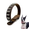 Genuine Leather Pet Collar with Studded Design Stylish Durable and Comfortable Genuine Leather Pet Collar with Studded Design Stylish Durable and Comfortable