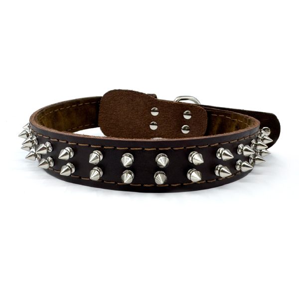 Genuine Leather Pet Collar with Studded Design Stylish Durable and Comfortable Genuine Leather Pet Collar with Studded Design Stylish Durable and Comfortable