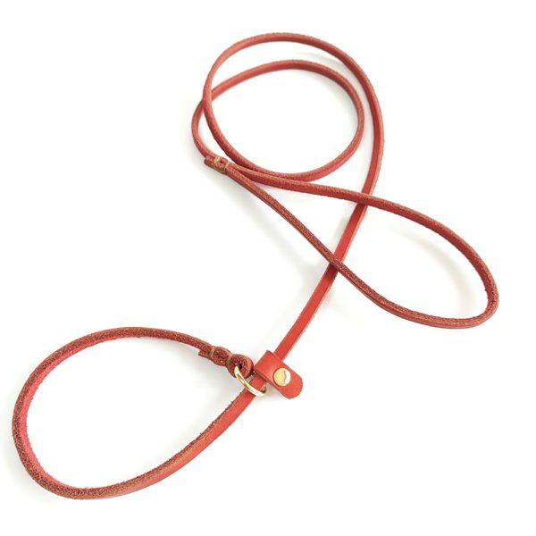 Pet Genuine Leather Leash Slip Lead Adjustable Dog Training Leash For Small Dogs