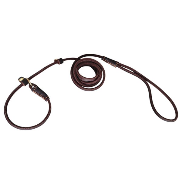 Lightweight Adjustable Durable Pet Genuine Leather Slip Lead For Small Medium Dogs Lightweight Adjustable Durable Pet Genuine Leather Slip Lead For Small Medium Dogs