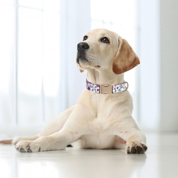 Dog Collar Durable Metal Buckle Adjustable Soft Collar For Small Medium Large Dogs