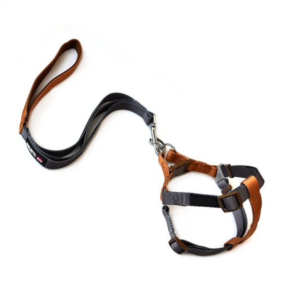 Adjustable Nylon Pet Harness And Leash Set Durable Comfortable Safe Adjustable Nylon Pet Harness And Leash Set Durable Comfortable Safe