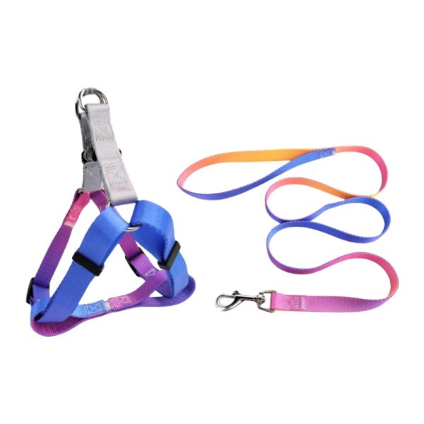 Nylon Pet Dog Chest Harness Leash Set Colorful Adjustable Comfortable Nylon Pet Dog Chest Harness Leash Set Colorful Adjustable Comfortable