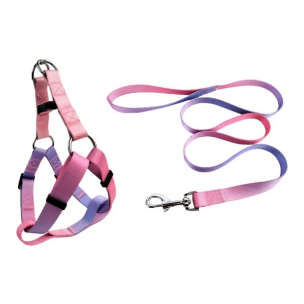 Nylon Pet Dog Chest Harness Leash Set Colorful Adjustable Comfortable Nylon Pet Dog Chest Harness Leash Set Colorful Adjustable Comfortable