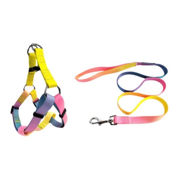 Nylon Pet Dog Chest Harness Leash Set Colorful Adjustable Comfortable Nylon Pet Dog Chest Harness Leash Set Colorful Adjustable Comfortable