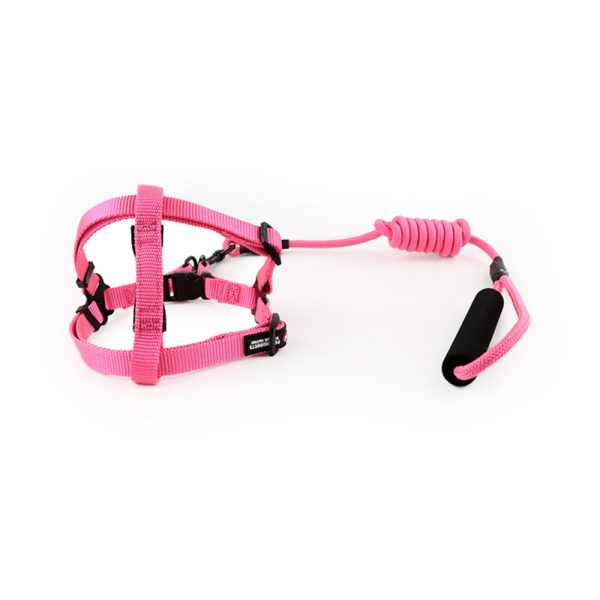 Adjustable Nylon Pet Harness And Leash Set Safe Secure And Easy For Dog Walking Adjustable Nylon Pet Harness And Leash Set Safe Secure And Easy For Dog Walking