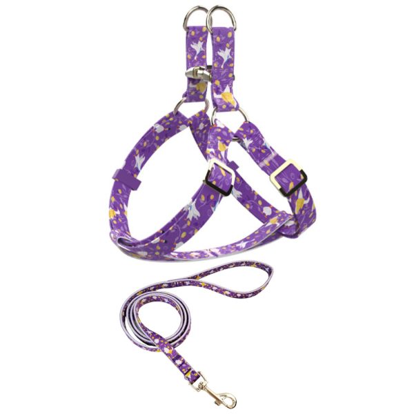 Durable Nylon Pet Leash And Harness Set Adjustable Comfortable For Small Large Dogs