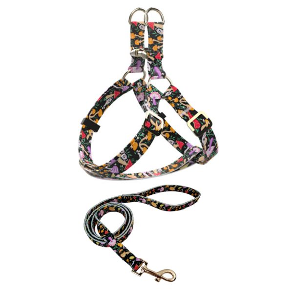 Durable Nylon Pet Leash And Harness Set Adjustable Comfortable For Small Large Dogs
