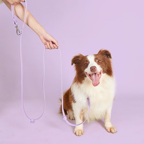 Pet PVC Running Leash Waterproof Durable Comfortable Adjustable 2-Dog Lead