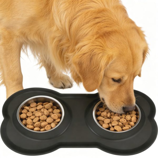 Pet Bowls Set With Non-Slip Base Double Dog Cat Food Bowl Water Dish Spill-Free Durable Easy Clean Pet Bowls Set With Non-Slip Base Double Dog Cat Food Bowl Water Dish Spill-Free Durable Easy Clean